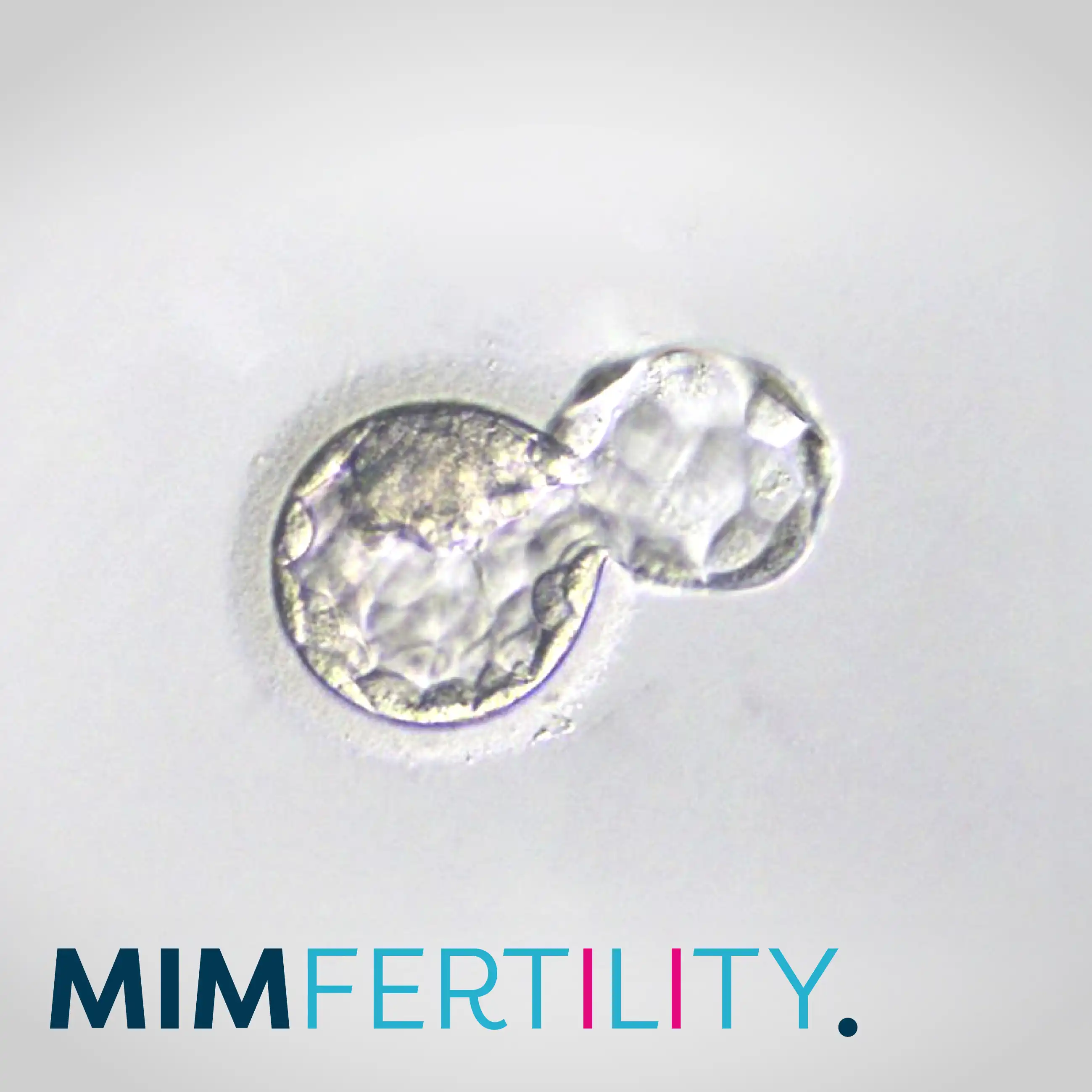 MIM Fertility EMBRYOAID
